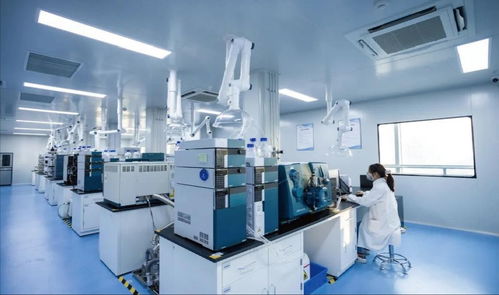 中原科技城 生命科學產業(yè)新引擎，技術服務驅動未來健康新變革
